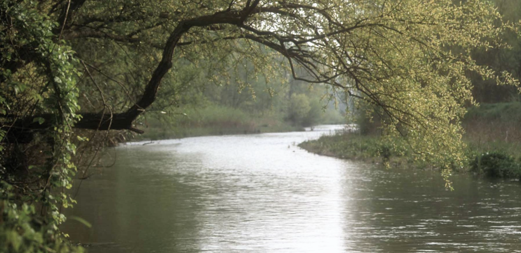 Scorcio del fiume Esino