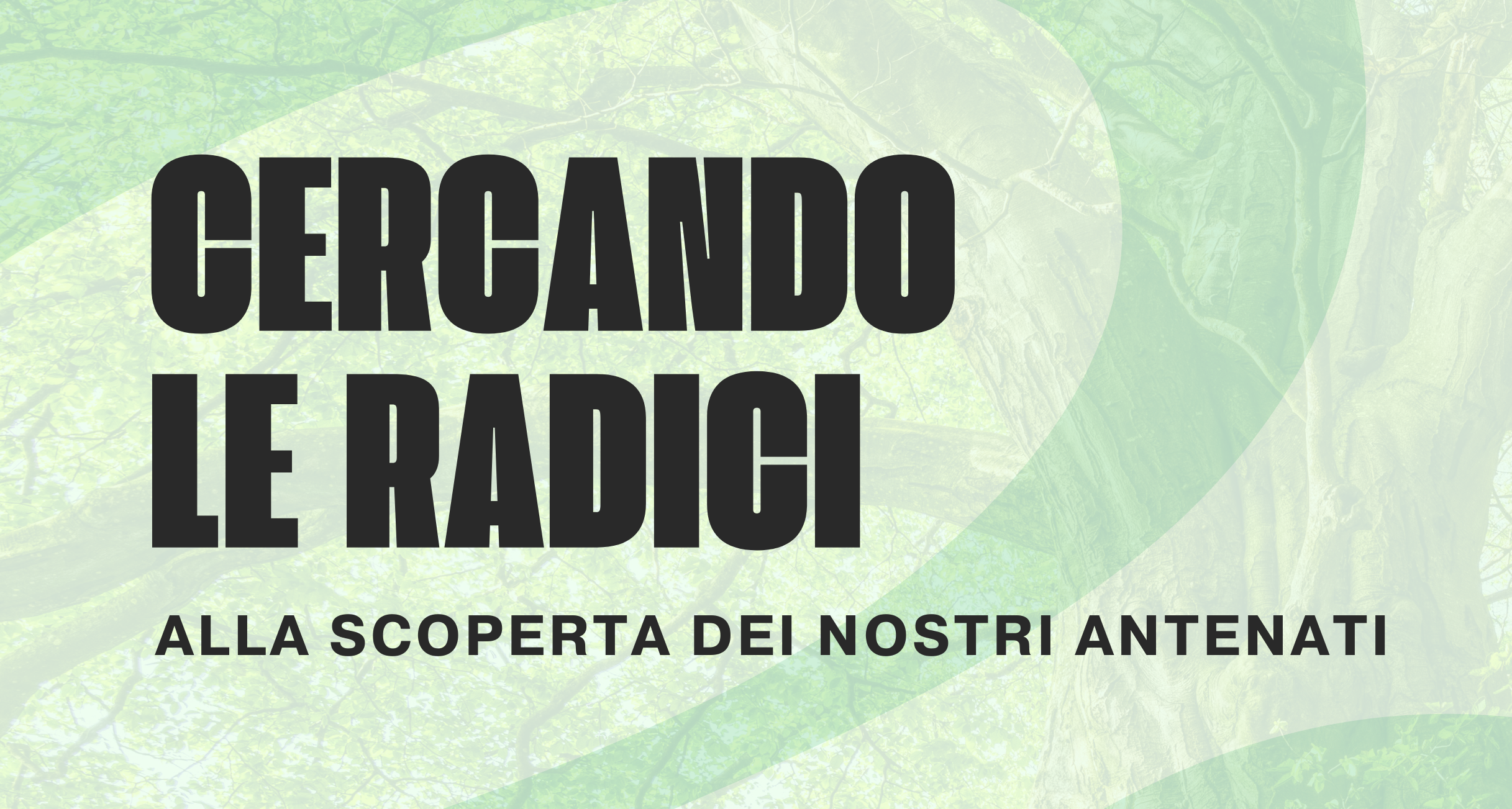 Cercando le radici